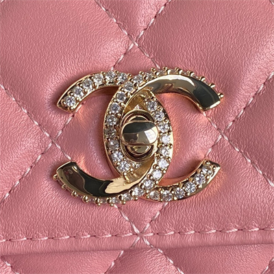 Chanel Clutch with Chain Lambskin, Strass & Gold-Tone Metal Pink AP4293