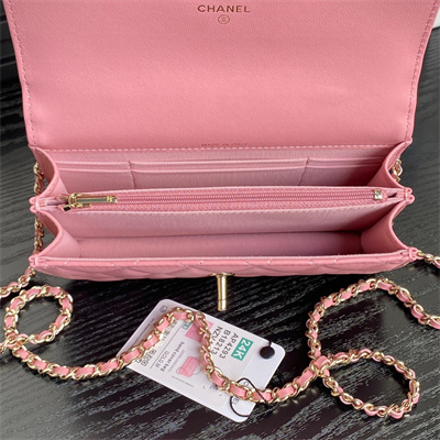 Chanel Clutch with Chain Lambskin, Strass & Gold-Tone Metal Pink AP4293