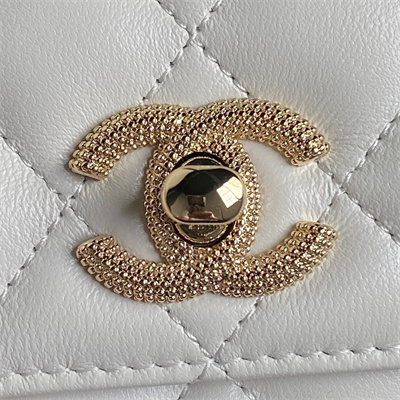 Chanel Clutch with Chain Lambskin, Strass & Gold-Tone Metal White AP4300