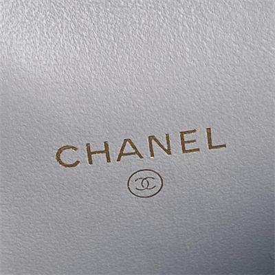 Chanel Small Vanity with Chain Lambskin, Strass & Gold-Tone Metal Grey AP4302