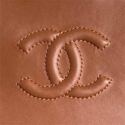 Chanel Flap Bag Shearling Lambskin & Gold-Tone Metal Beige/Brown AS5149