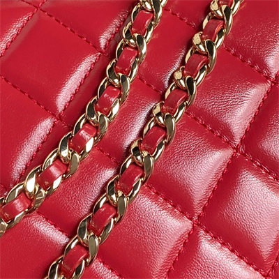 Chanel Vanity Case Shiny Crumpled Lambskin & Gold-Tone Metal Red AS5222