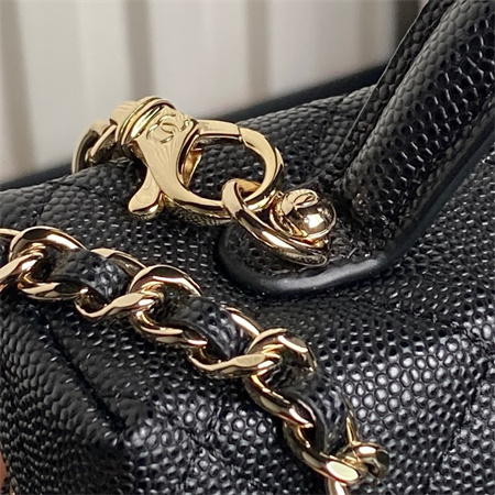 Chanel Long Vanity with chain Grained Calfskin & Gold-Tone Metal Black AP4407