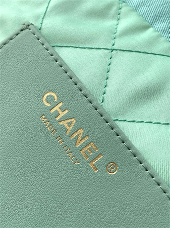 Chanel 22 Mini Handbag Canvas and Gold Tone Metal Green AS3980