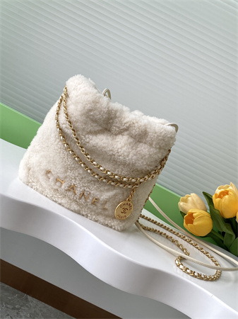 Chanel 22 Mini Handbag Shearling Wool and Gold Tone Metal  AS3980