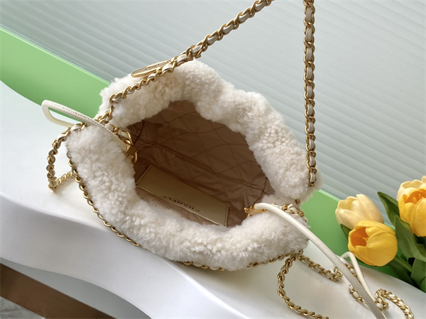 Chanel 22 Mini Handbag Shearling Wool and Gold Tone Metal  AS3980