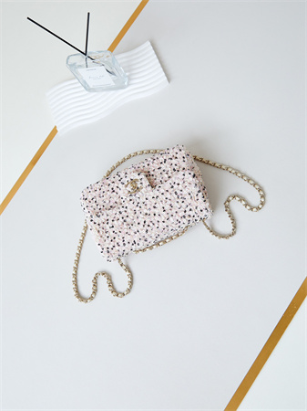 Cha.nel Evening Bag Sequins & Gold-Tone Metal  White & Silver AS4298