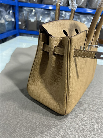 Bir.kin Bag TOGO Leather 25/30/35CM Gold/Silver Hardware In Chai Color HS