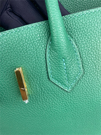 Bir.kin Bag TOGO Leather 25/30/35CM Gold/Silver Hardware In Vert  Verigo Color HS