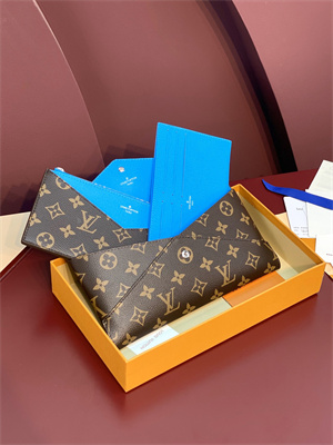 L.V Kirigami Organizer Monogram Canvas Gaston Blue Pink M12359