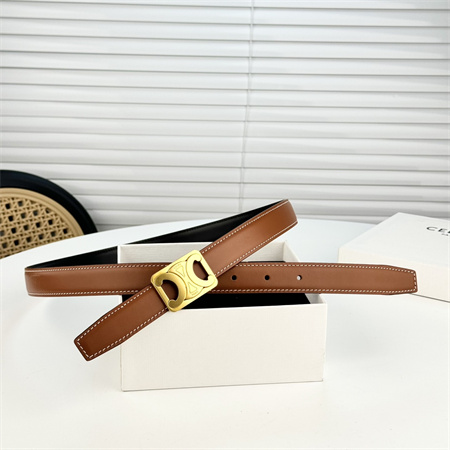 Celine MEDIUM REVERSIBLE FRAMED TRIOMPHE BELT 25MM in TAURILLON AND NATURAL CALFSKIN Brown/Black