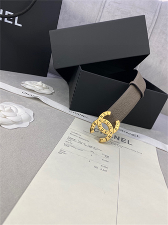 Chanel Belts In Calfskin 30MM Gold/Silver Hardware Etoupe