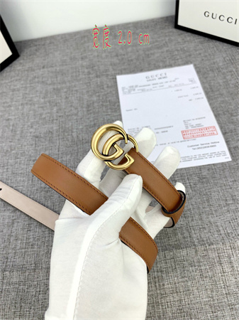 Gucci Belts In Brown Calfskin 20MM Gold Hardware