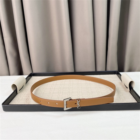 YSL Belts In Leather 20MM Silver Hardware Brown