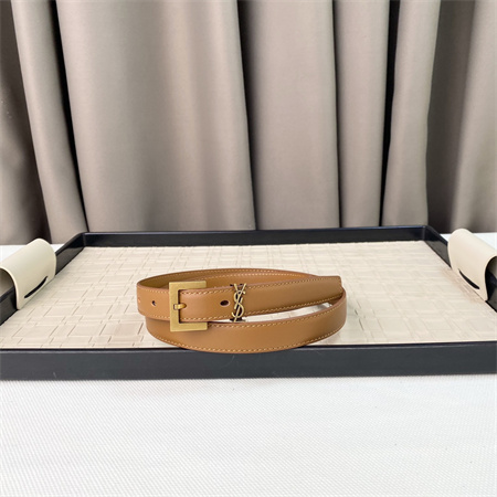 YSL Belts In Leather 20MM Gold Hardware Brown