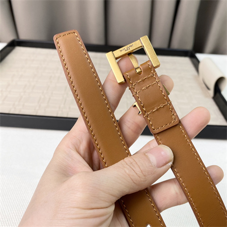 YSL Belts In Leather 20MM Gold Hardware Brown