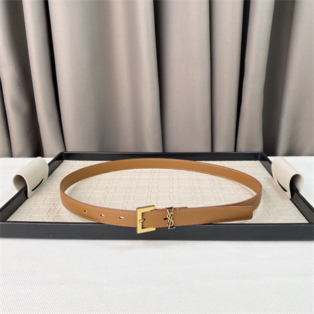 YSL Belts In Leather 20MM Gold Hardware Brown