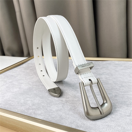 YSL Belts In Leather 25MM Silver Hardware White