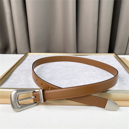 YSL Belts In Leather 25MM Silver Hardware Brown