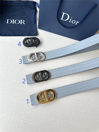 Dior Belts In CD Embossed Calfskin 35MM Grey Color Options