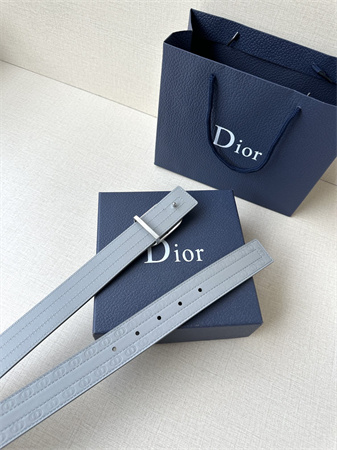 Dior Belts In CD Embossed Calfskin 35MM Grey Color Options