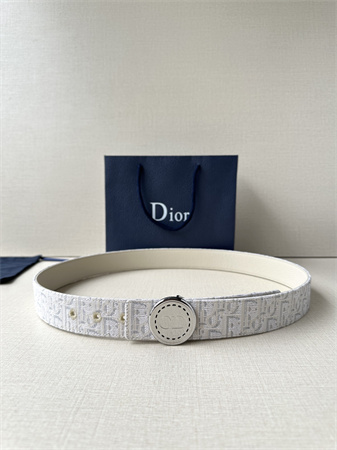 Dior Belts In Beige Jacquard Canvas & Calfskin 35MM Silver Hardware