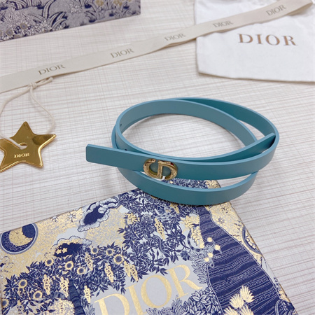 Dior Belts In Calfskin 15MM  Gold Hardware Color Options