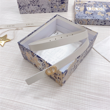 Dior Belts In Calfskin 15MM  Gold Hardware Color Options