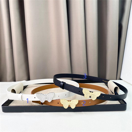 Dior Belts In Calfskin 20MM Color Options