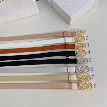 Dior Belts In Calfskin 20MM Gold/Silver Hardware Color Options