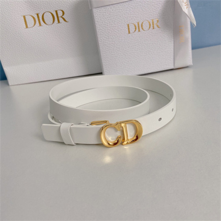 Dior Belts In Calfskin 20MM Gold/Silver Hardware Color Options