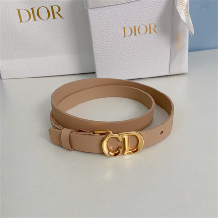 Dior Belts In Calfskin 20MM Gold/Silver Hardware Color Options