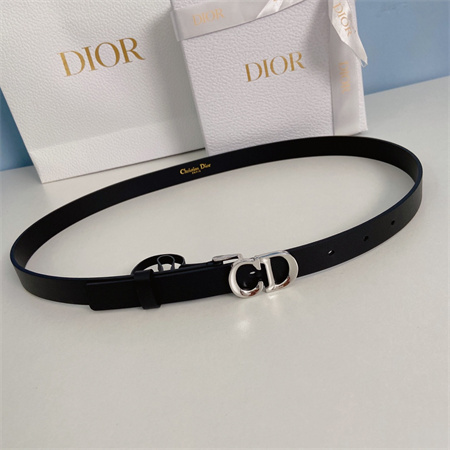 Dior Belts In Calfskin 20MM Gold/Silver Hardware Color Options