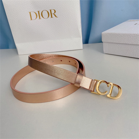 Dior Belts In Calfskin 20MM Gold/Silver Hardware Color Options