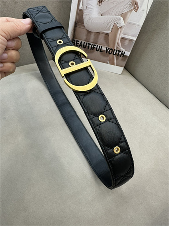 Dior Belts In Lambskin 30MM Gold Hardware Color Options