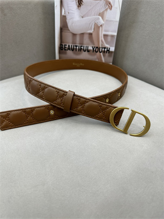 Dior Belts In Lambskin 30MM Gold Hardware Color Options
