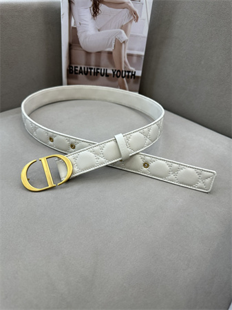 Dior Belts In Lambskin 30MM Gold Hardware Color Options