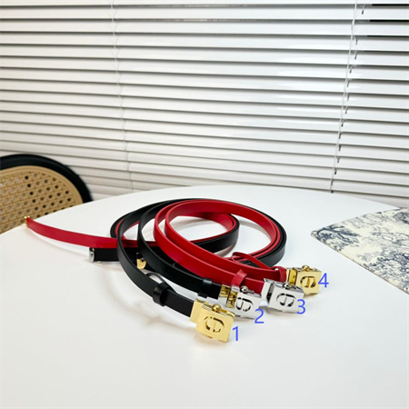 Dior Belts In Calfskin 17MM Gold/Silver Hardware Color Options