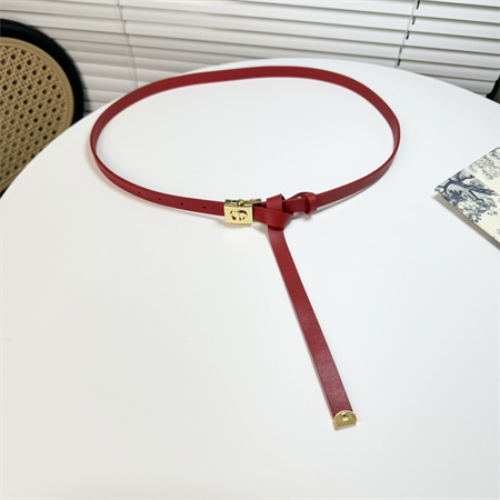 Dior Belts In Calfskin 17MM Gold/Silver Hardware Color Options