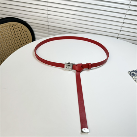 Dior Belts In Calfskin 17MM Gold/Silver Hardware Color Options