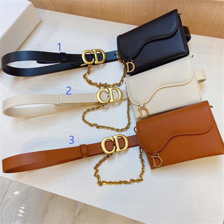 Dior Belt With Bag In Calfskin 20MM Gold Hardware Color Options
