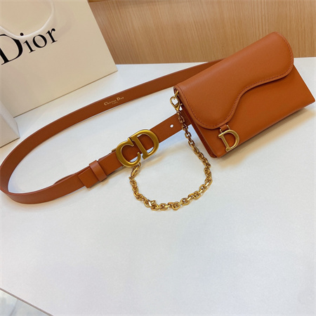 Dior Belt With Bag In Calfskin 20MM Gold Hardware Color Options