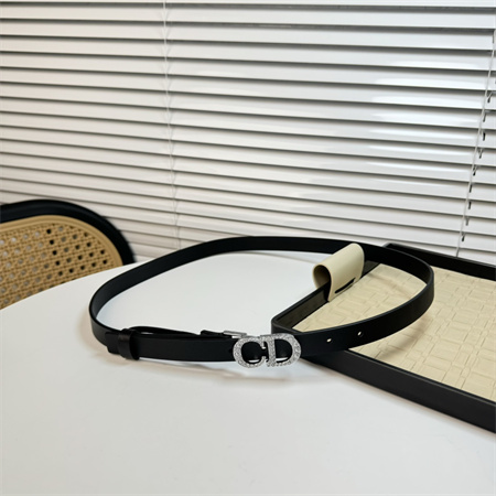 Dior Belts In Calfskin 20MM Gold/Silver Hardware Color Options