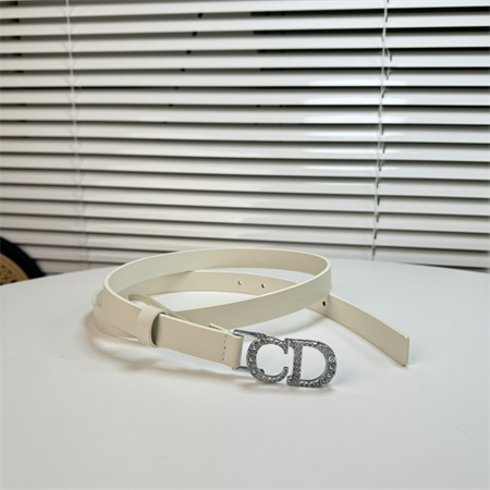 Dior Belts In Calfskin 20MM Gold/Silver Hardware Color Options