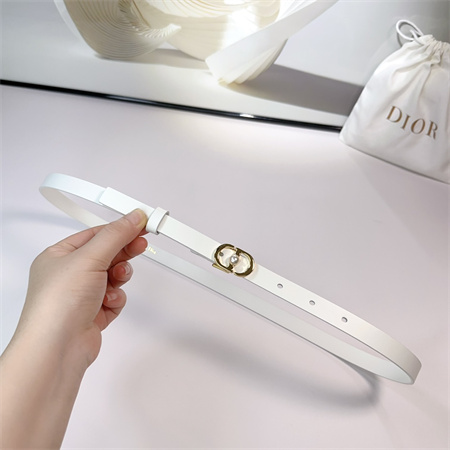 Dior Belts In Calfskin 15MM Gold/Silver Hardware Color Options