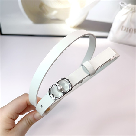 Dior Belts In Calfskin 15MM Gold/Silver Hardware Color Options