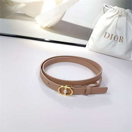 Dior Belts In Calfskin 15MM Gold/Silver Hardware Color Options