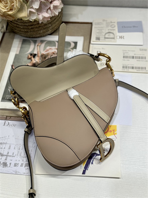 CD Saddle Bag Smooth Calfskin Beige/Sand