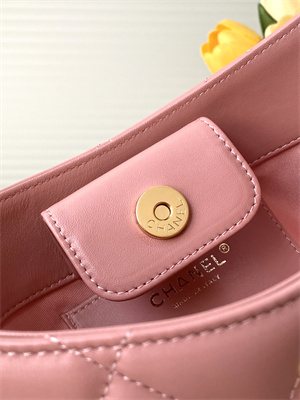 Cha.nel Hobo Handbag Lambskin & Gold-Tone Metal Pink AS5177