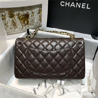 Chanel Medium Classic Flap Bag Lambskin Gold Tone Metal Dk Brown 01112